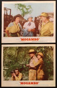 8a938 MOGAMBO 2 LCs '53 Clark Gable, Grace Kelly & Donald Sinden with camera & gun in Africa!