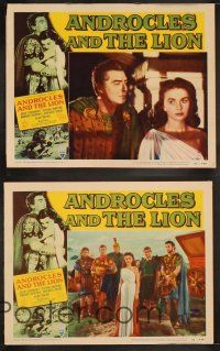 8a036 ANDROCLES & THE LION 8 LCs '52 Victor Mature, beautiful Jean Simmons, cool border art of lion!