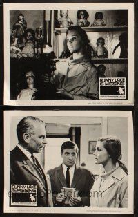 8a721 BUNNY LAKE IS MISSING 3 LCs '65 Laurence Olivier, Carol Lynley, directed by Otto Preminger!