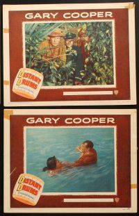 8a456 DISTANT DRUMS 6 LCs '51 Gary Cooper in the Florida Everglades, directed by Raoul Walsh!