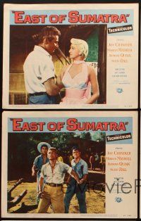 8a509 EAST OF SUMATRA 5 LCs '53 Jeff Chandler & sexy Marilyn Maxwell in the South Pacific!