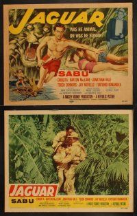8a191 JAGUAR 8 LCs '55 Barton MacLane, Sabu lays with sexy Chiquita + art of him in jungle!