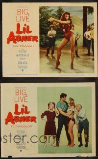 8a214 LI'L ABNER 8 LCs '59 cool images of sexiest Julie Newmar, Peter Palmer, Al Capp's comic