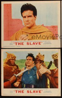 8a784 SLAVE 3 LCs '63 Steve Reeves as the son of Spartacus, directed by Sergio Corbucci!