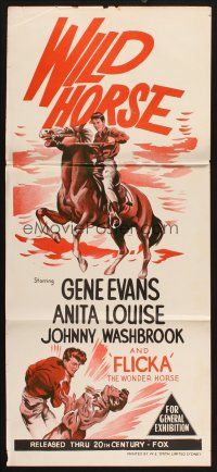 8c973 WILD HORSE Aust daybill '50s Gene Evans, Anita Louise, Flicka The Wonder Horse!