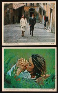8d225 APPOINTMENT 6 color 8x10 stills '69 Omar Sharif, Anouk Aimee, directed by Sidney Lumet!