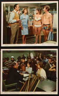 8d268 IMPOSSIBLE YEARS 4 color 8x10 stills '68 sexy Cristina Ferrare, undergrads vs. over-thirties!