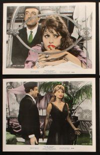 8d043 MILLIONAIRESS 10 color 8x10 stills '60 Peter Sellers & sexy Sophia Loren, Anthony Asquith!