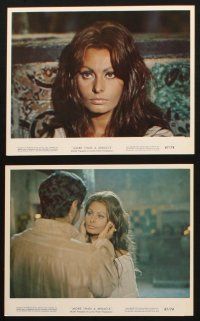 8d018 MORE THAN A MIRACLE 12 color 8x10 stills '67 great images of sexy Sophia Loren & Omar Sharif!