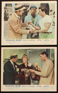 8d241 TENNESSEE CHAMP 6 color English FOH LCs '54 Shelley Winters, Keenan Wynn, Dewey Martin, boxing