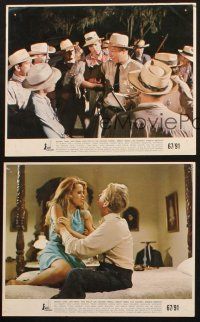 8d285 HURRY SUNDOWN 3 8x10 mini LCs '67 close up Michael Caine & sexy Jane Fonda, Otto Preminger!