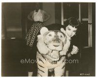 8k378 GIRL HE LEFT BEHIND candid 7.25x9.5 still '56 pretty Natalie Wood with giant stuffed tiger!