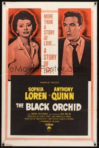 8p100 BLACK ORCHID 1sh '59 Anthony Quinn, Sophia Loren, a story of love, by Martin Ritt!