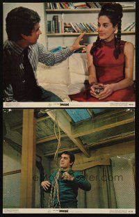 8r754 BEDAZZLED 2 color 11x14 stills '68 Dudley Moore with Eleanor Bron & about to hang himself!