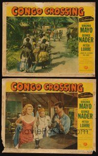 8r784 CONGO CROSSING 2 LCs '56 Peter Lorre, Virginia Mayo & George Nader!