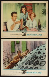 8r810 EXODUS 2 LCs '62 Otto Preminger classic, Paul Newman, Eva Marie Saint, cool images!