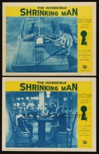 8r844 INCREDIBLE SHRINKING MAN 2 LCs R64 Jack Arnold, Grant Williams, cool special effects images!