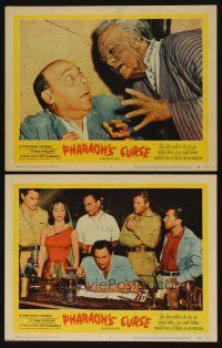 8r902 PHARAOH'S CURSE 2 LCs '56 monster c/u, great image of stars examining severed monster arm!
