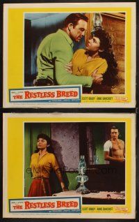 8r919 RESTLESS BREED 2 LCs '57 cool images of cowboy Scott Brady & sexy young Anne Bancroft!
