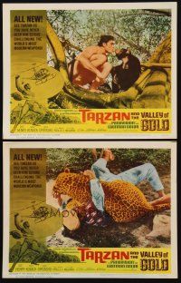 8r957 TARZAN & THE VALLEY OF GOLD 2 LCs '66 Mike Henry with chimp + guy attacked by leopard!