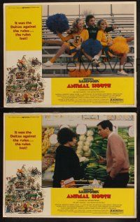8r614 ANIMAL HOUSE 3 LCs '78 John Belushi, John Landis directed college fraternity classic!