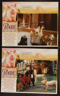 8r258 BABE PIG IN THE CITY 7 LCs '98 George Miller's talking pig, cool images of animals!