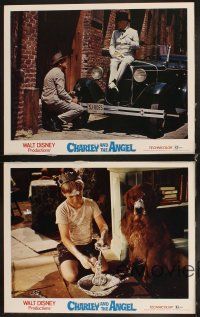 8r528 CHARLEY & THE ANGEL 4 LCs '73 Disney, Fred MacMurray, Harry Morgan, supernatural comedy!