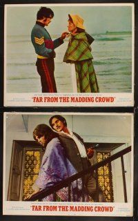 8r278 FAR FROM THE MADDING CROWD 7 LCs '68 pretty Julie Christie, Terence Stamp, Peter Finch!