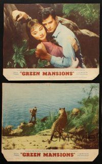 8r436 GREEN MANSIONS 5 LCs '59 pretty Audrey Hepburn, Anthony Perkins, directed by Mel Ferrer!