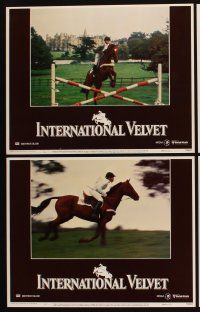 8r123 INTERNATIONAL VELVET 8 LCs '78 jockeyTatum O'Neal, Christopher Plummer, horse racing!