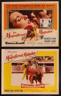 8r148 MAGNIFICENT MATADOR 8 LCs '55 Budd Boetticher, Anthony Quinn, Maureen O'Hara, bullfighting!