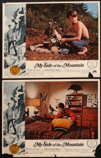 8r007 MY SIDE OF THE MOUNTAIN 9 LCs '68 a boy who dreams of leaving civilization to do his thing!