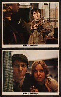 8r209 STRAW DOGS 8 LCs '72 directed by Sam Peckinpah, close ups of Dustin Hoffman & Susan George!