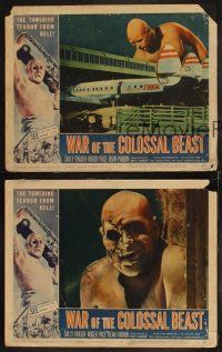 8r729 WAR OF THE COLOSSAL BEAST 3 LCs '58 great close up portrait of the monster, action scenes!