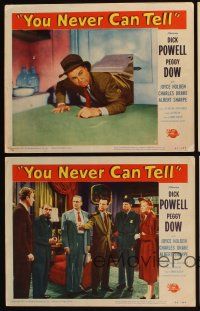 8r606 YOU NEVER CAN TELL 4 LCs '51 Dick Powell, sexy Joyce Holden, Charles Drake, Albert Sharpe!