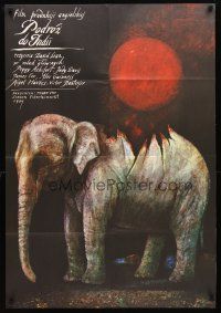 8t124 PASSAGE TO INDIA Polish 27x38 '86 David Lean, different elephant art by Wiktor Sadowski!