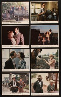 8w730 PLACES IN THE HEART 8 8x10 mini LCs '84 Sally Field tends to her cotton after husband dies!