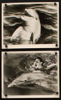 8w087 FLIPPER 12 8x10 stills '63 Chuck Connors, Luke Halpin, cool image of boy & dolphin!