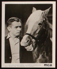 8w253 MISTER ED 7 TV 8x10 stills '60s great images of Alan Young & the famous talking horse!