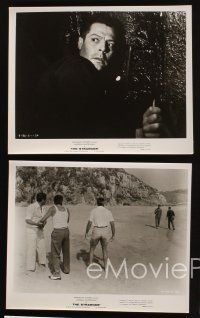 8w271 STRANGER 7 8x10 stills '68 Luchino Visconti's Lo Straniero, Marcello Mastroianni!