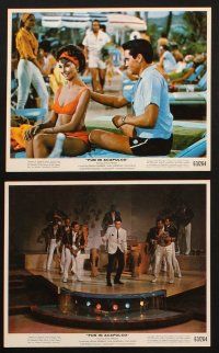 8w850 FUN IN ACAPULCO 6 color 8x10 stills '63 Elvis Presley & sexy Ursula Andress in Mexico!