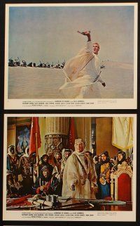 8w526 LAWRENCE OF ARABIA 10 color 8x10 stills '63 Peter O'Toole, Anthony Quinn, David Lean classic!