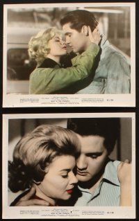 8w876 WILD IN THE COUNTRY 6 color 8x10 stills '61 Elvis Presley sings of love to Tuesday Weld!