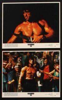 8w737 RAMBO III 8 8x10 mini LCs '88 Sylvester Stallone returns as John Rambo, cool images, Crenna!