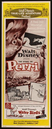 8z585 PERRI/WATER BIRDS insert '64 Disney squirrel adventure + winged wonders of the sea & sky!