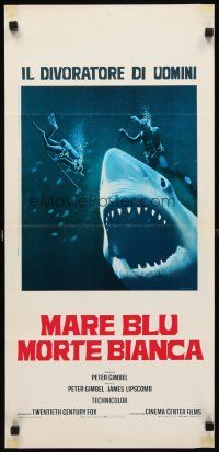 8z808 BLUE WATER, WHITE DEATH blue shark style Italian locandina '72 c/u of shark with open mouth!