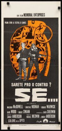 8z872 IF Italian locandina '69 introducing Malcolm McDowell, directed by Lindsay Anderson!