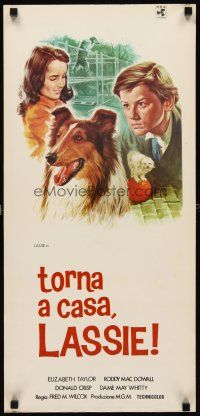 8z885 LASSIE COME HOME Italian locandina R60s Tarantelli Elizabeth Taylor, McDowall & famous dog!