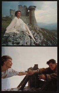 9c107 LADYHAWKE 4 color 16x20 stills '85 Rutger Hauer, Michelle Pfeiffer & young Matthew Broderick!