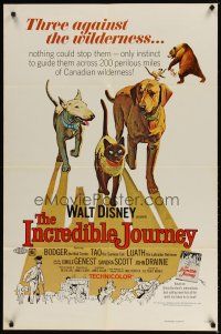 9h415 INCREDIBLE JOURNEY 1sh R74 Disney, art of Bull Terrier, Siamese cat & Labrador Retriever!